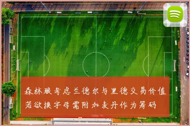森林狼考虑兰德尔与里德交易价值若欲换字母需附加麦丹作为筹码