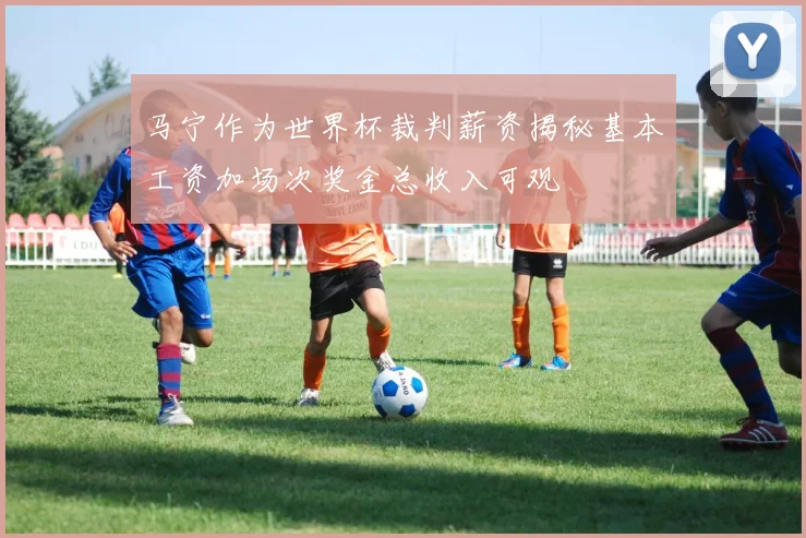 马宁作为世界杯裁判薪资揭秘基本工资加场次奖金总收入可观