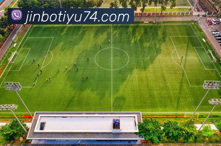 App Interface Preview